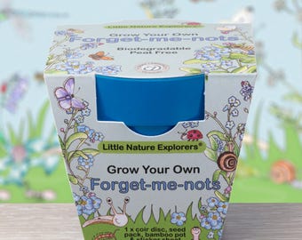 Children's Grow Your Own Forget Me Nots Growing Kit Little Nature Explorers