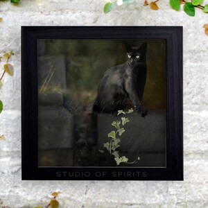 Black Cat Gothic Art Print - Surrealism Art Print - Original Art - Cats Witchy Gothic Horror Renaissance Home Decor
