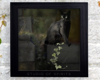 Black Cat Gothic Art Print - Surrealism Art Print - Original Art - Cats Witchy Gothic Horror Renaissance Home Decor