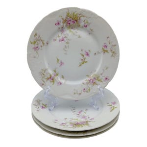 Limoges Floral Porcelain Plates Set of 4 Theodore Haviland Purple Pink Flowers 9inch Vintage French China