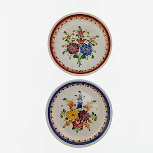 May include: Two white ceramic plates with hand-painted floral designs. One plate has a red border, the other a blue border. Each plate features a central bouquet of colorful flowers, including purple, blue, yellow, and orange.