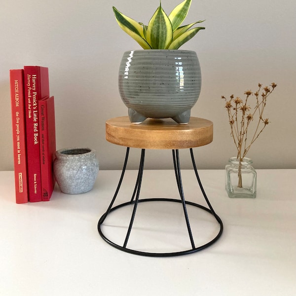 Plant Stand with Satin Black Metal Base and Solid Pine Wood Top, Table Top Plant Stand, Indoor Plant Stand, Upcycled Plant Decor