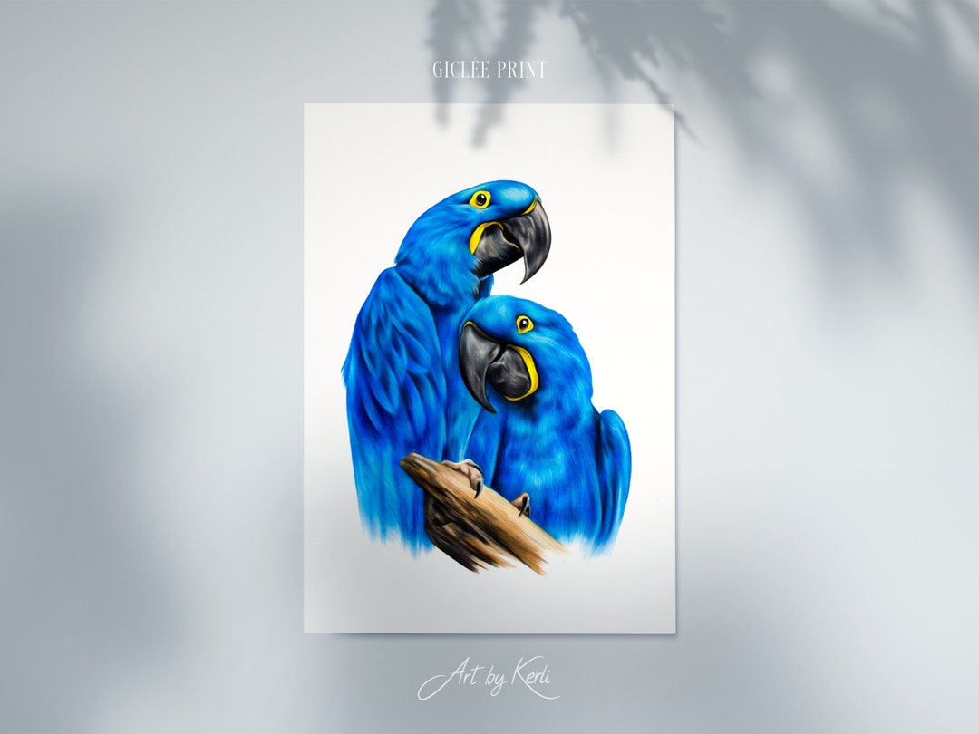 Hyacinth Macaw limited edition GICLÉE PRINT Kunst door Kerli
