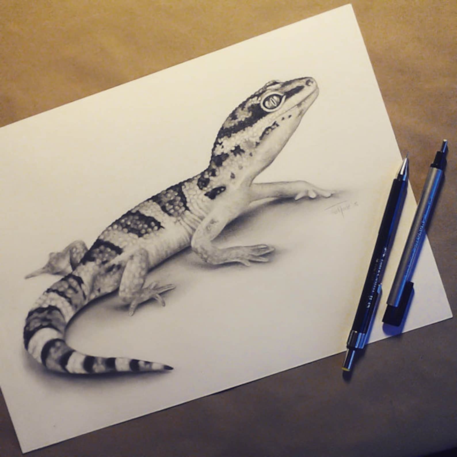 Leopard Gecko Pencil Drawing ORIGINAL Art by Kerli Etsy UK