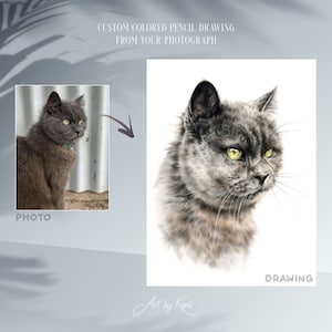 Custom handmade COLORED PENCIL portrait from your photograph