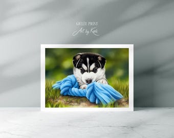 May include: A black and white husky puppy playing with a blue rope toy in a grassy area.