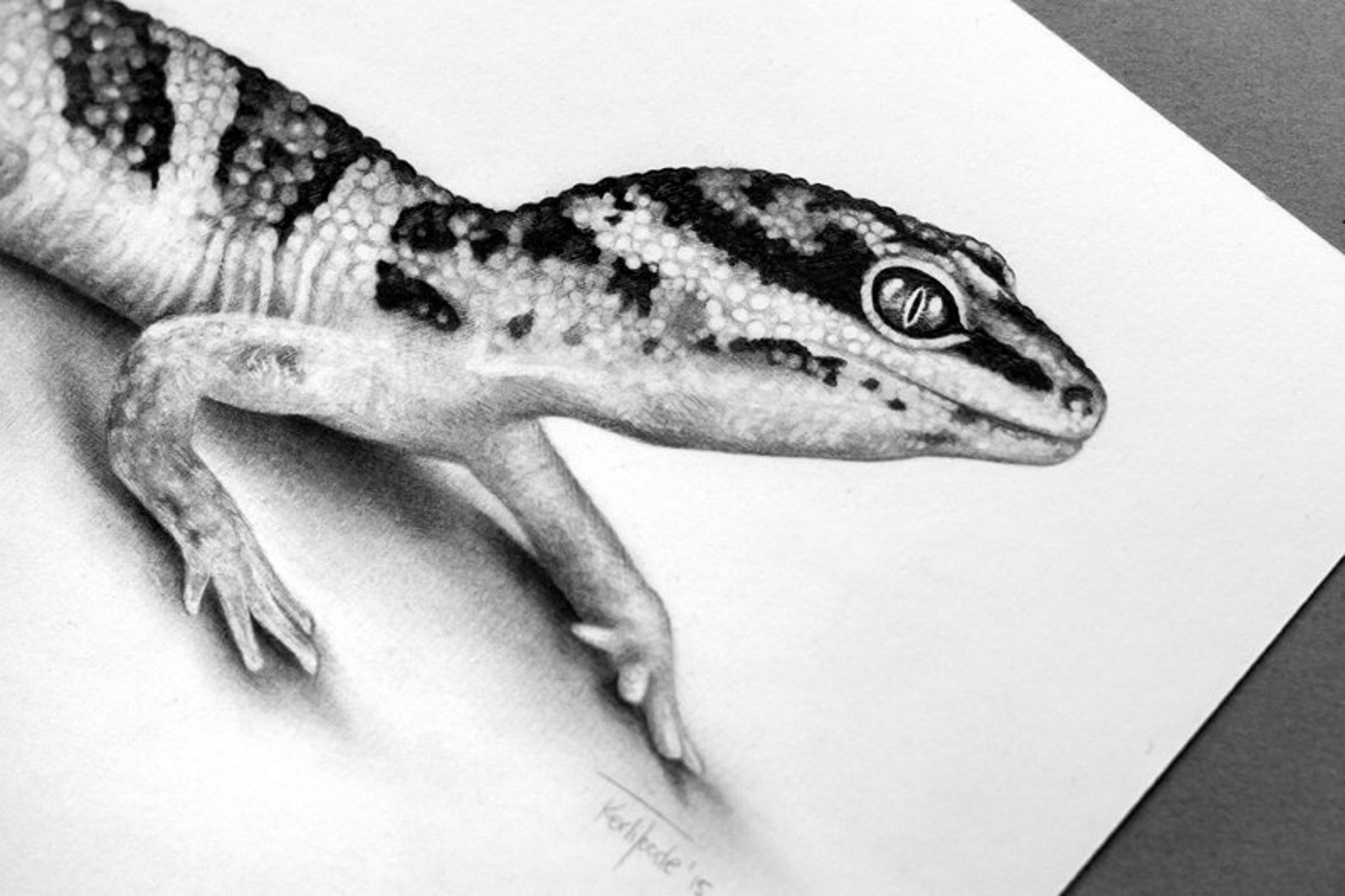 Leopard Gecko pencil drawing ORIGINAL Art by Kerli | Etsy