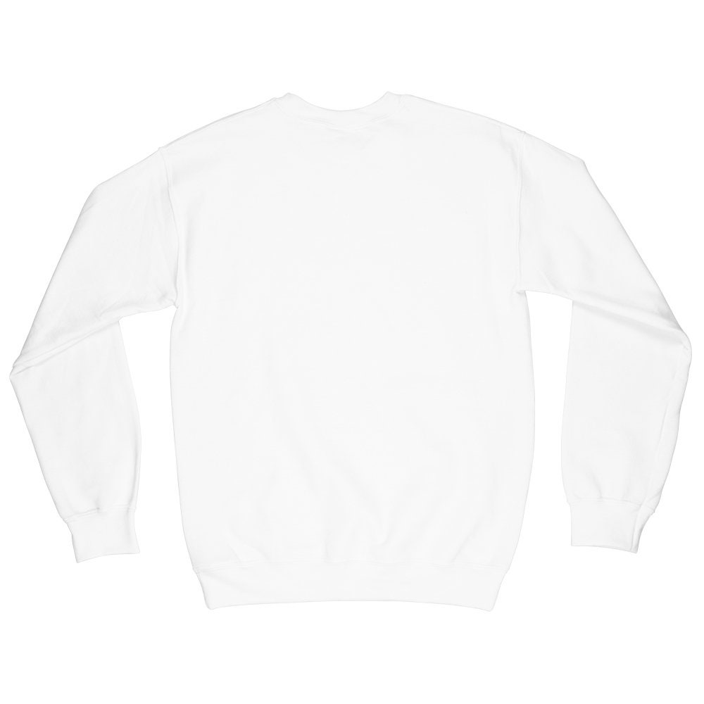 Crescent Moon Aesthetic Sweatshirt Crystal Healing Sweater | Etsy