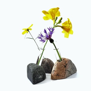 LivingStone Bud Vase