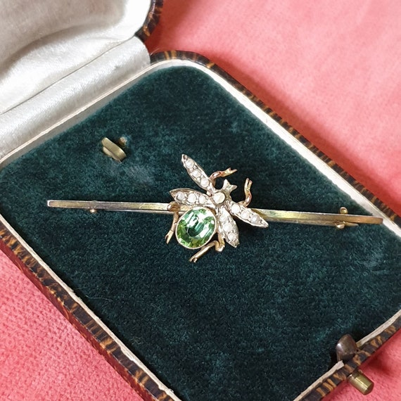 Antique Bug Brooch. Insect Brooch