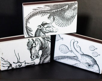 Monster Collage Matchboxes: Seahorse, Rabbit-Bee, Hyena - Set of 3
