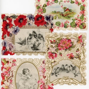 Verdadeiro Vintage 1900-1910 Antigo Dia dos Namorados Pássaros Querubins Rosas Corações Sangrentos Paisagem Bucólica Papoilas