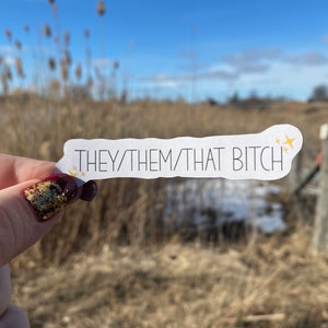Pronoun Stickers | Pride Pronoun Sticker | They/Them, She/They, He/They, She/Her, He/Him //That Bitch | PROCEEDS DONATED |