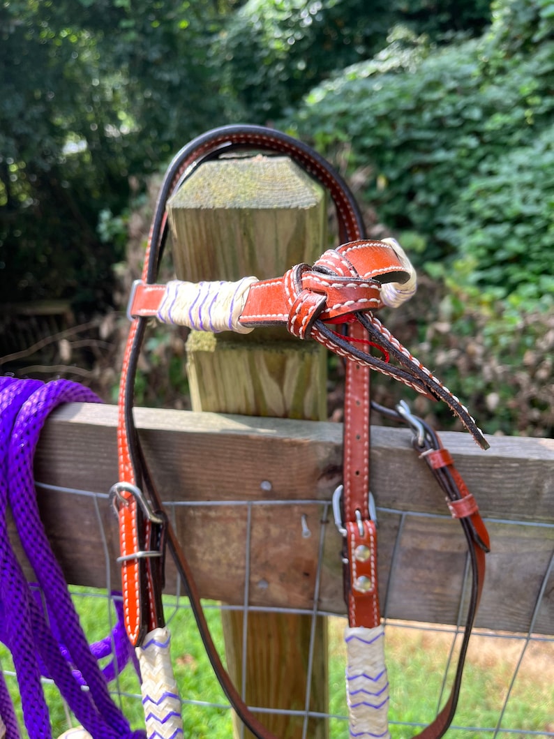Complete Bitless Hackamore Bosal Bridle Purple Nylon Mecate Etsy