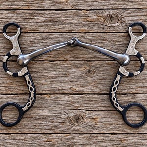 May include: A black metal horse bit featuring a jointed mouthpiece and two long shanks. The shanks are decorated with silver-colored engraved scrollwork and a chain-link pattern. The bit includes two rings on each side for attachment.