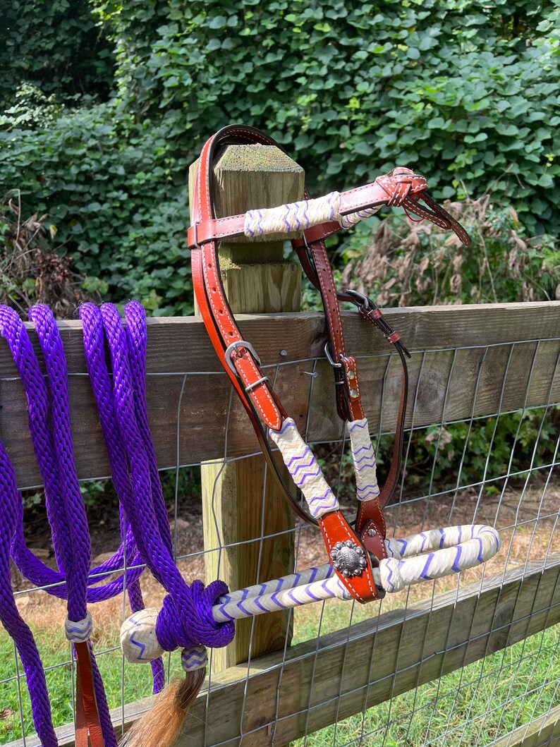 Complete Bitless Hackamore Bosal Bridle Purple Nylon Mecate Etsy