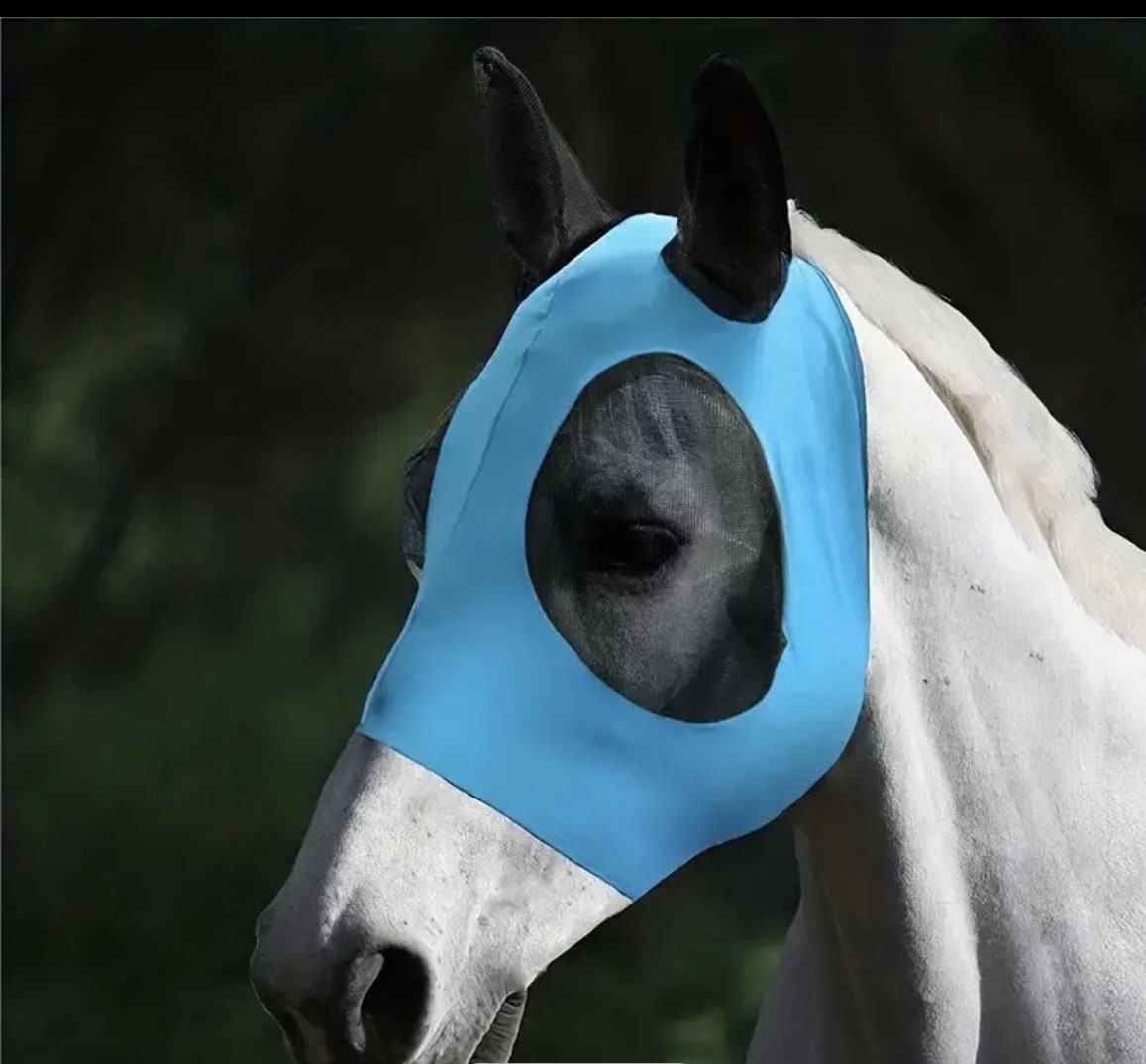 Size Medium TEAL Lycra Horse Fly Mask with Ears Free Ship