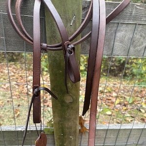 May include: Brown leather horse reins hanging on a wooden post. The reins are looped and have a tag attached. The background includes a wire fence and foliage, suggesting an outdoor setting. The leather appears to be well-crafted.