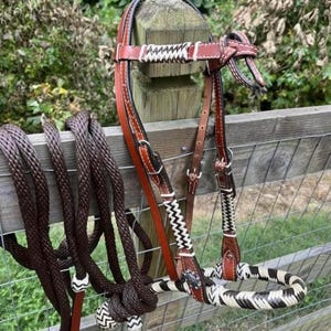 May include: A brown and white leather horse bridle with a matching rope rein. The bridle features intricate stitching and decorative accents. The leather is a rich brown color, and the stitching is white. The rein is a dark brown color.