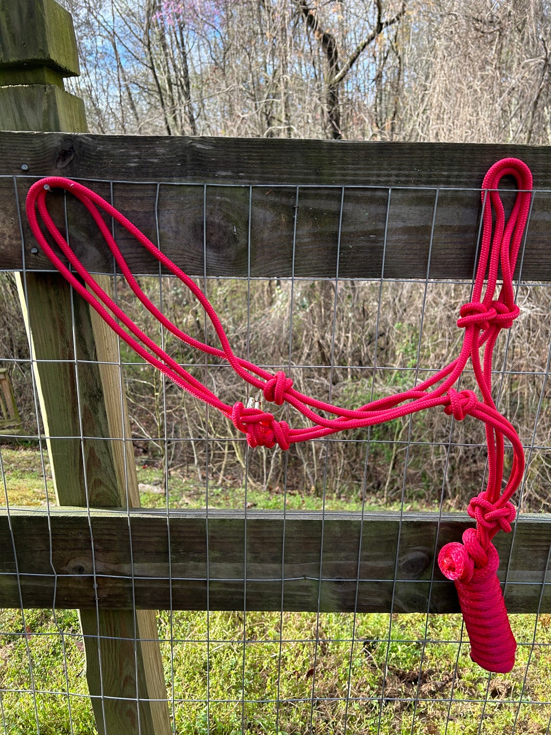 Draft Horse Size Genuine 5/16” Red Nylon Rope Halter and Lead Rope FREE ...