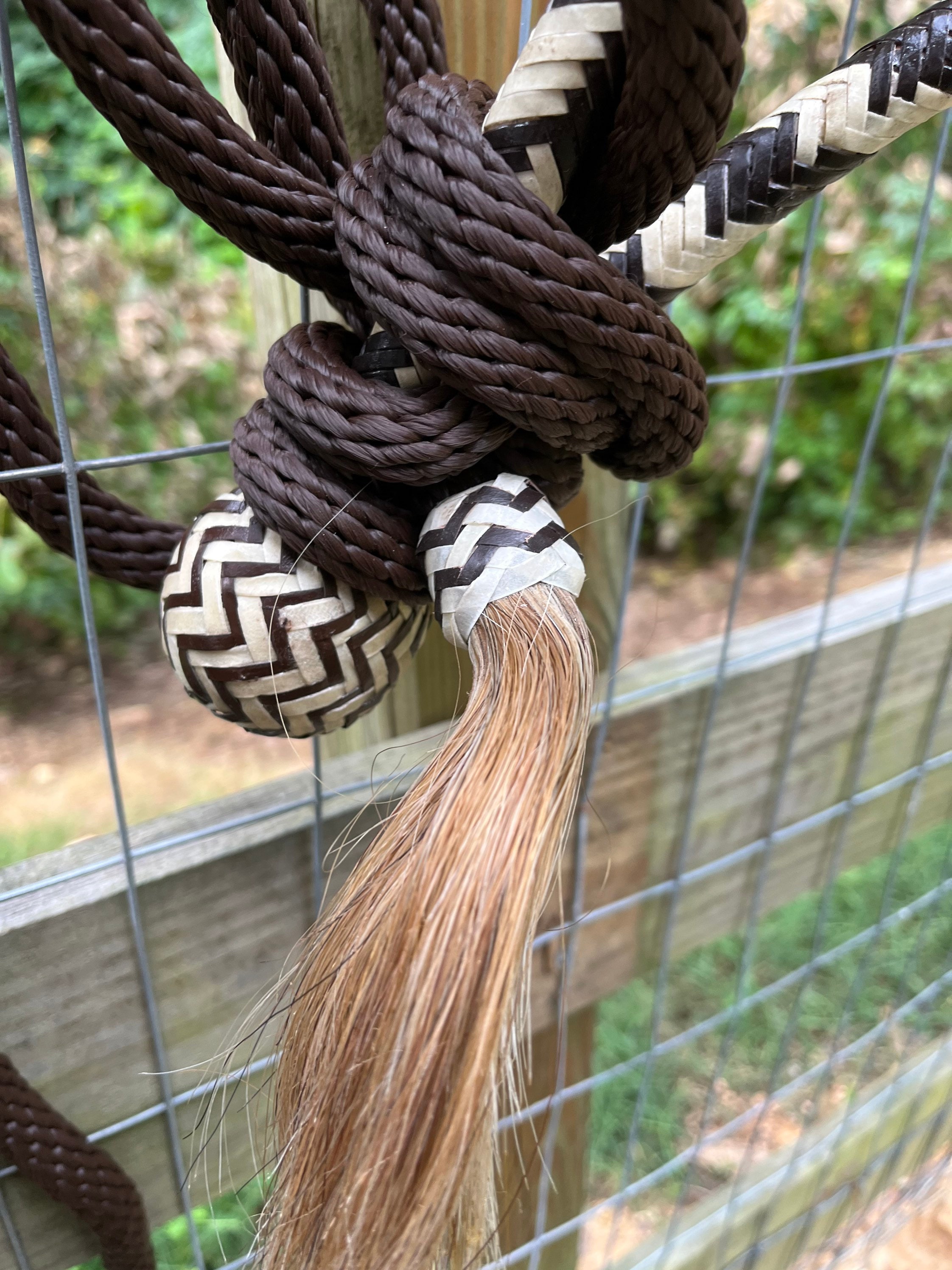 Bitless Bosal Bridle Complete Set Horse Size Rawhide Bosal Etsy