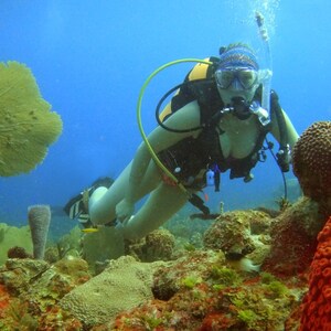 Puede incluir: Un buceador con un traje de neopreno negro y una botella de buceo amarilla y negra explora un arrecife de coral. El buceador lleva una m&aacute;scara blanca y negra y un snorkel negro. El buceador est&aacute; rodeado de corales y peces coloridos.