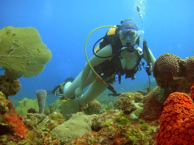 Puede incluir: Un buceador con un traje de neopreno negro y una botella de buceo amarilla y negra explora un arrecife de coral. El buceador lleva una m&aacute;scara blanca y negra y un snorkel negro. El buceador est&aacute; rodeado de corales y peces coloridos.