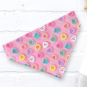 Valentine&#39;s Day Dog Bandana, Over The Collar Valentines Day Bandana, Conversation Hearts, Cat Bandana, Convo Hearts Slip On Gift For Pets