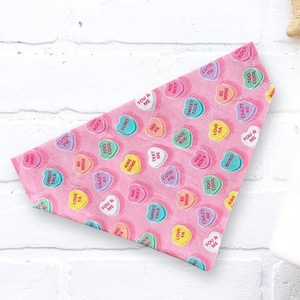 Valentines Day Dog Bandana, Conversation Heart Pet Bandana for Dog Gifts Dog Lover Gift, Dog Bandanas Valentine Gift for Valentine
