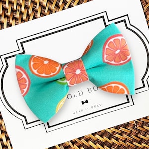 Fruit Dog Bow Tie, Pet Bow Tie, Dog Bowtie, Dog Bowties, Pet Accessories for Dog Collar Bow Tie, Dog Accessories, Dog Bow Ties, Neckwear