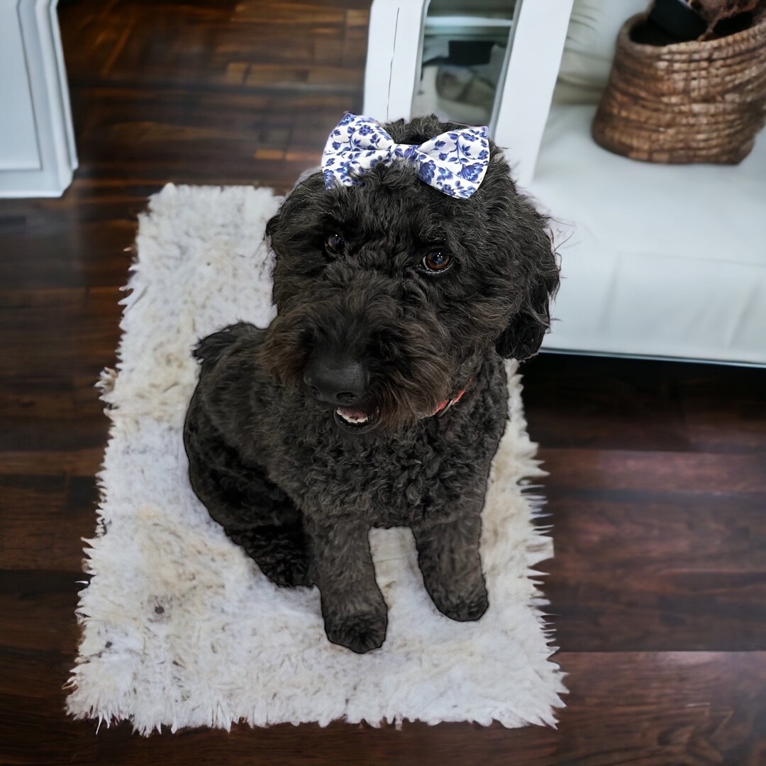French Blue Dog Hair Bow, Dog Hair Bows, Dog Hair Clip Dog Bows, Hair