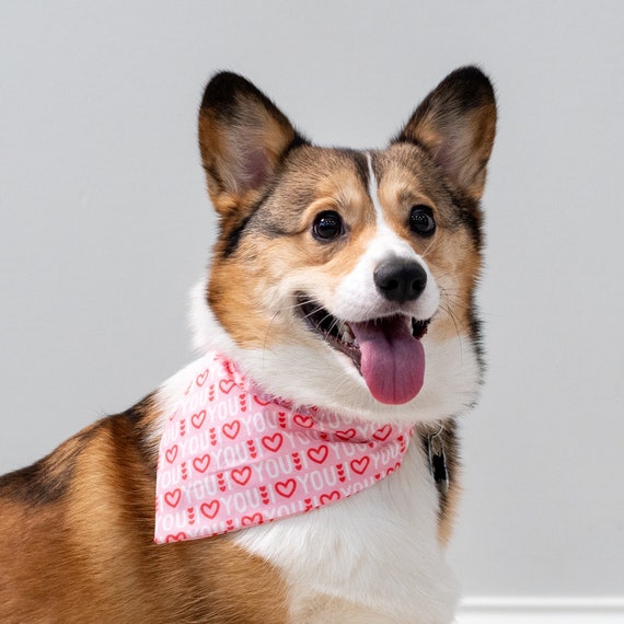 Corgi Heart Pet Bandana Corgi Heart Pet Bandana
