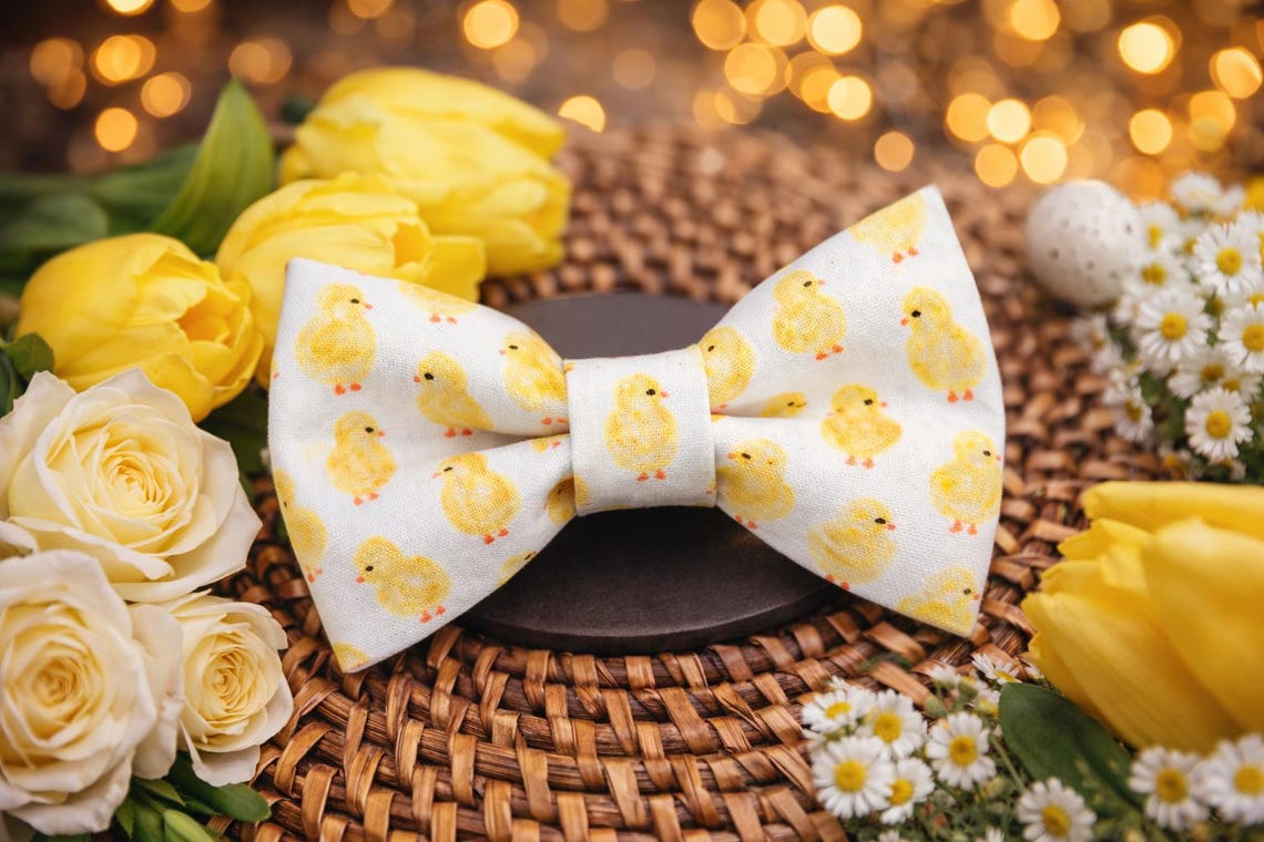 Easter Dog Bow Tie with a print of Yellow Chicks.
