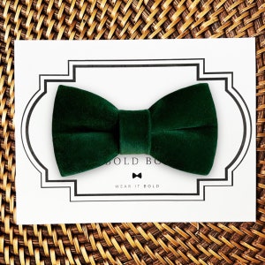 Green velvet dog bow tie or cat bow tie for Christmas or the holidays.