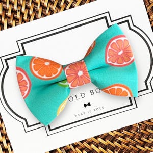 Fruit Dog Bow Tie, Pet Bow Tie, Dog Bowtie, Dog Bowties, Pet Accessories for Dog Collar Bow Tie, Dog Accessories, Dog Bow Ties, Neckwear
