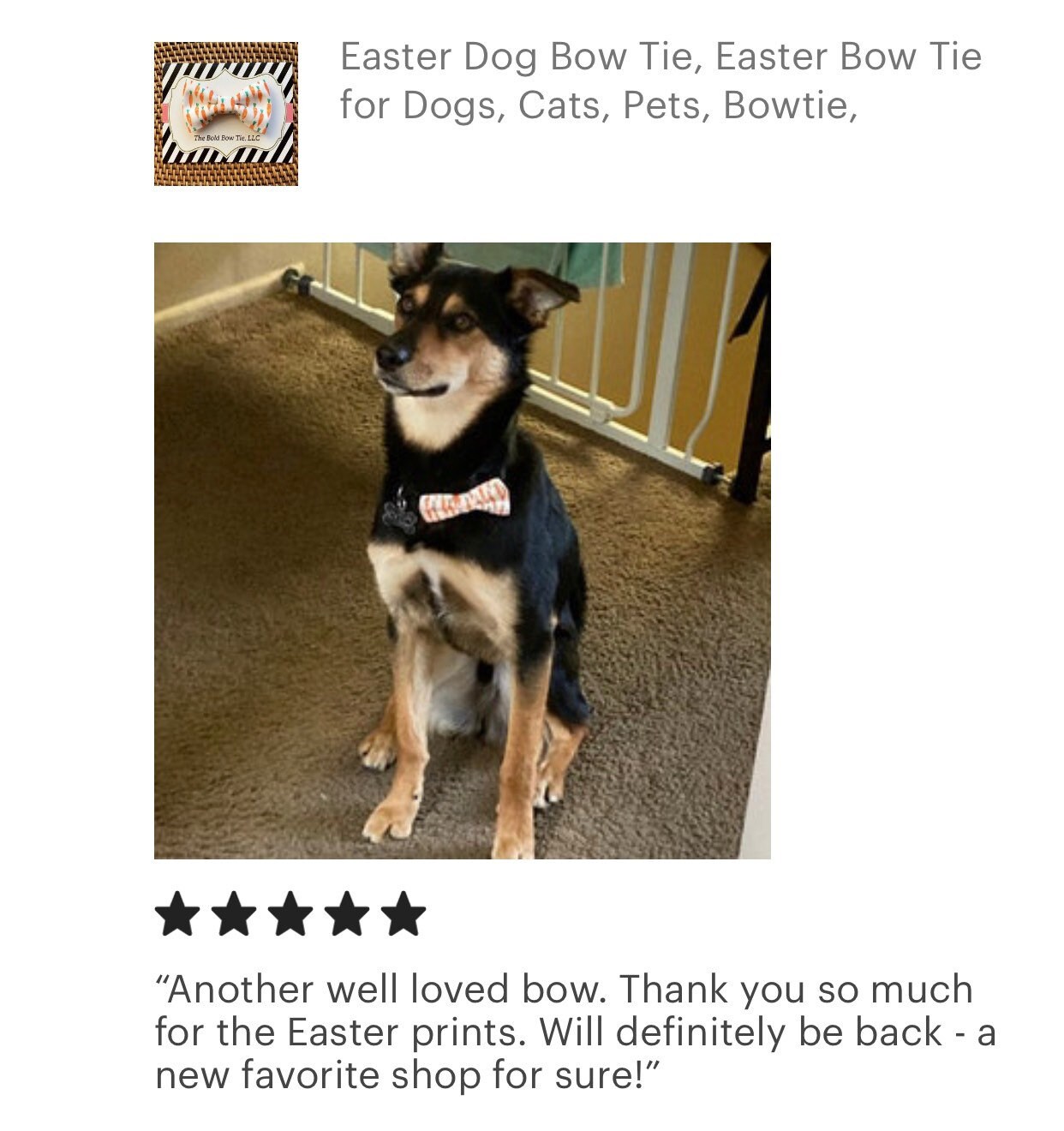 dog easter tie