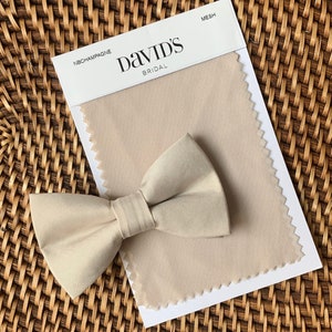 champagne colored bow tie and suspenders