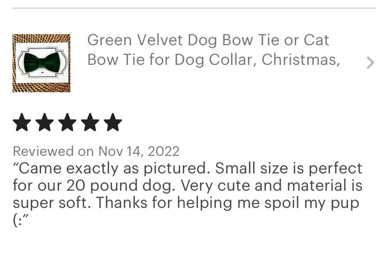 Green Velvet Dog Bow Tie, Cat Bow Tie, Christmas Dog Accessories, Dog Bowties, Gift, Dog Wedding Attire, Dog Ring Bearer image 6