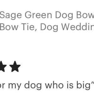 Sage Green Dog Bow Tie, Wedding Attire, Puppy Gift image 5