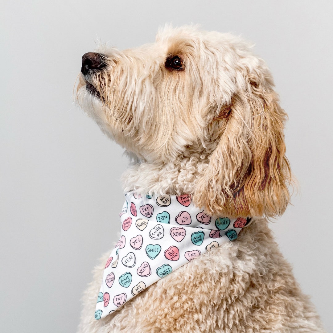 Valentines Day Dog Bandana, Candy Hearts Pet Bandana for Dog Gifts & Dog Lover Gift, Dog
