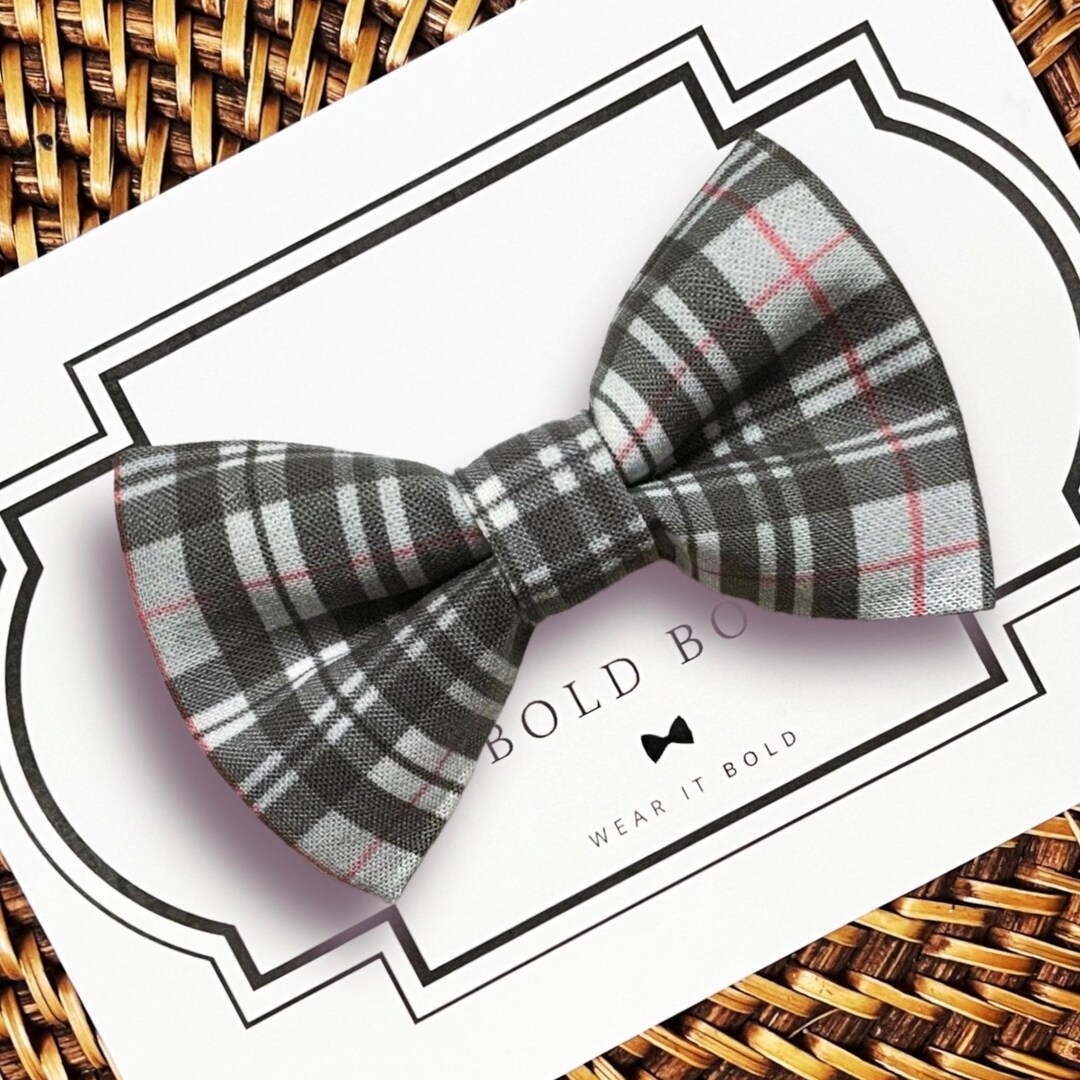 grey dog bow tie