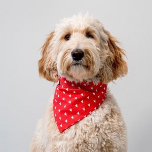 Valentines Day Dog Bandana | Red Heart Dog Valentine Bandana for Dog Gift