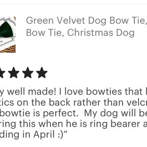 Green Velvet Dog Bow Tie, Cat Bow Tie, Christmas Dog Accessories, Dog Bowties, Gift, Dog Wedding Attire, Dog Ring Bearer image 7