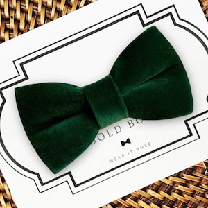 Green velvet dog bow tie or cat bow tie for Christmas.