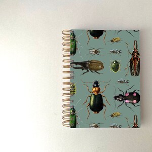 Planner - Functional - One Year Fill in Calendar - Weekly Planning  - Monthly Schedule - Vintage Beetles - Dated or Undated - 2023 plan