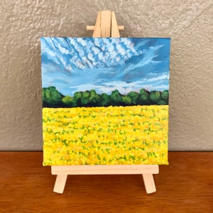 Spring Landscape