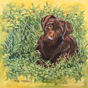 Puede incluir: Pintura de un cachorro de labrador chocolate con ojos verdes, acurrucado en hierba verde alta y pequeñas flores amarillas. La obra de arte tiene un fondo amarillo. El nombre del artista, Caleb Mathews, está escrito en la esquina inferior izquierda.