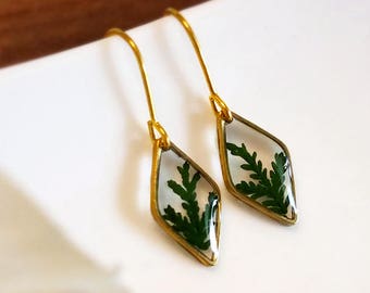 ALOTSS / earring / green / cool jewelry, cute earrings, dainty earrings, unique jewelry, dangle earrings, bridemaid gift, wedding gift, gift