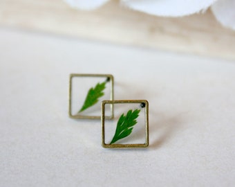 ALOTSS / earring / green / Leaf, Fern, Cool Jewelry, Bohemian, cute jewelry, unique jewelry, dainty jewelry, cute earrings, stud earringa