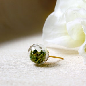 Natürliche Getrocknete Blumen Ohrstecker Glaskugel Ohrringe Echte Pflanzen Ohrringe Minimalist Gold Ohrstecker Boho Chic Orb Ohrringe Kleine zierliche Ohrstecker